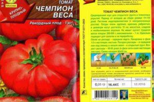 รายละเอียดของมะเขือเทศ Champion Vesto ลักษณะและข้อดีของพันธุ์