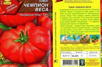 ลักษณะของมะเขือเทศ