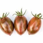 มะเขือเทศสีดำ