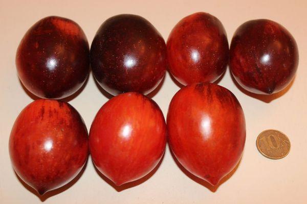 มะเขือเทศสุก