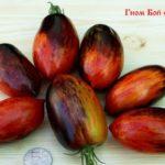 มะเขือเทศแคระ