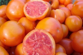 มะเขือเทศเกรปฟรุต