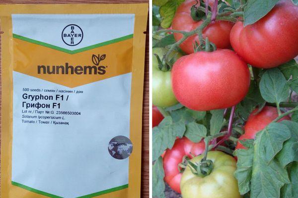 เมล็ดพันธุ์ในถุง