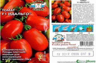 ลักษณะของมะเขือเทศ