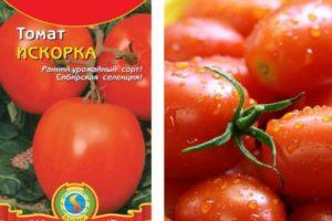 ลักษณะของมะเขือเทศอิสคอร์ กฎการปลูกต้นกล้าและผลผลิต