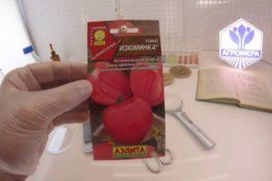 Brèves caractéristiques et description de la variété de tomate Izyuminka