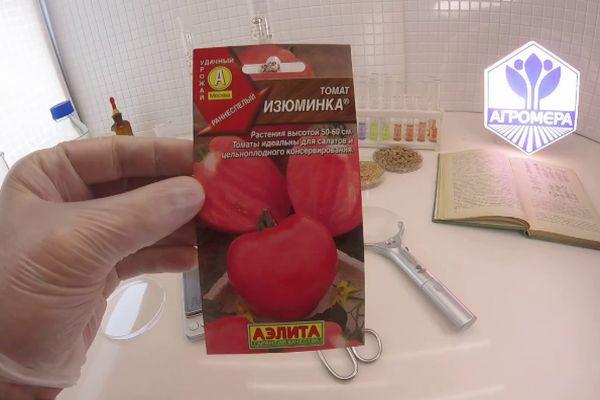 เมล็ดมะเขือเทศ