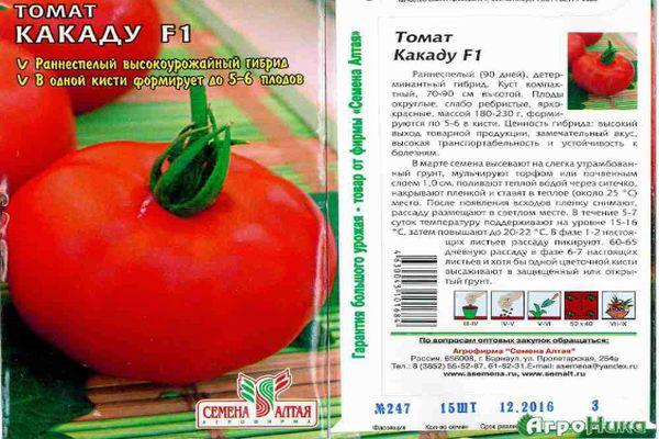 ลักษณะของมะเขือเทศ