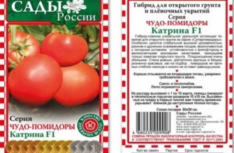 ลักษณะของมะเขือเทศ