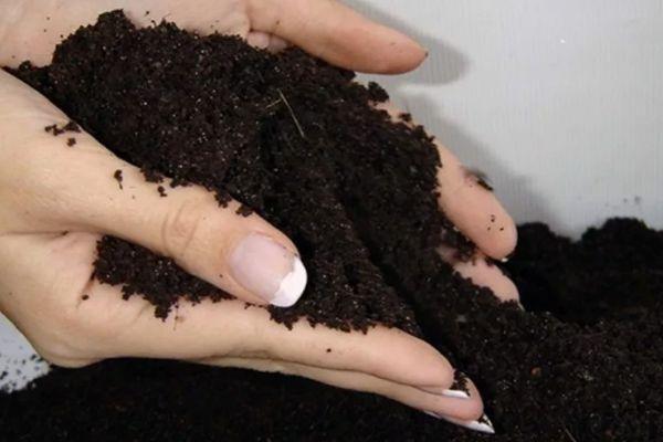 การเตรียมดิน