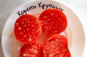 เนื้อมะเขือเทศ