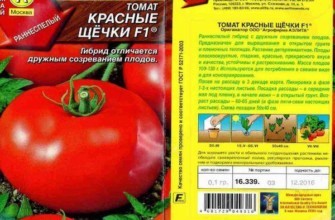 มะเขือเทศลูกผสม