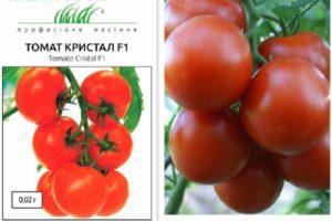 Description de la tomate Crystal F1, instructions de culture et de plantation