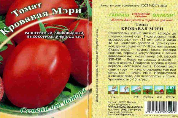 บลัดดี้แมรี่