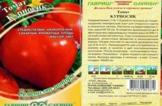 ลักษณะของมะเขือเทศ