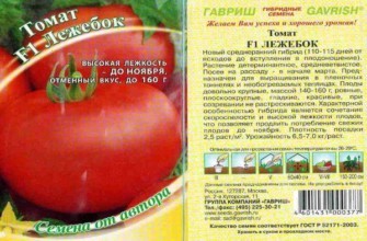 ลักษณะของมะเขือเทศ