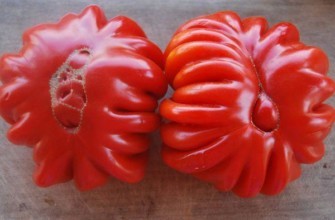 มะเขือเทศสองลูก