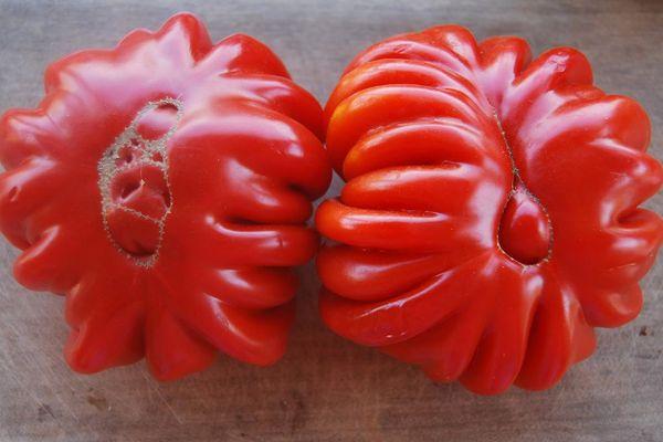 มะเขือเทศสองลูก