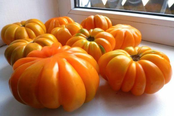 มะเขือเทศขนาดใหญ่