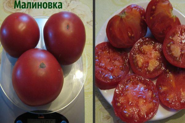 เนื้อมะเขือเทศ