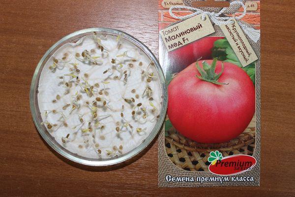 เมล็ดมะเขือเทศ