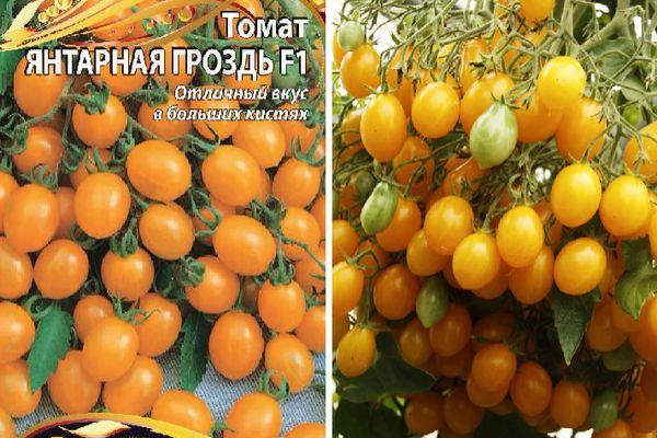 tomates jaunes