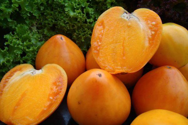 มะเขือเทศน้ำผึ้ง