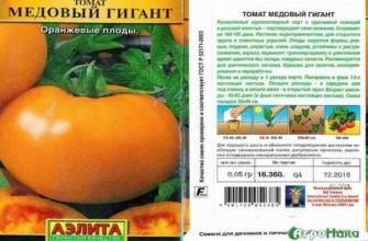 ลักษณะของมะเขือเทศ