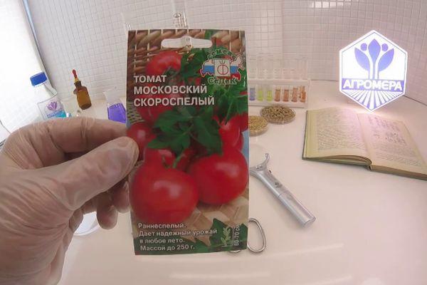 เมล็ดมะเขือเทศ