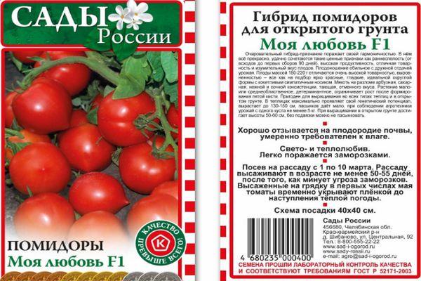 เมล็ดมะเขือเทศ