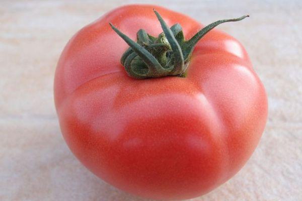 มะเขือเทศลูกใหญ่