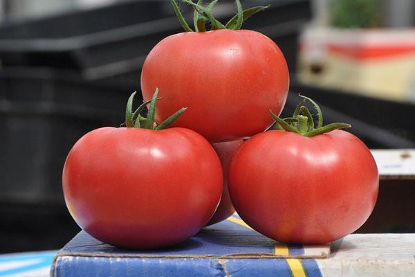 มะเขือเทศสามลูก