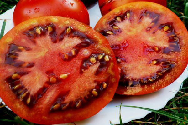 เนื้อมะเขือเทศ