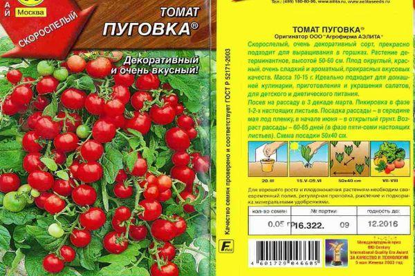 มะเขือเทศปุ่ม