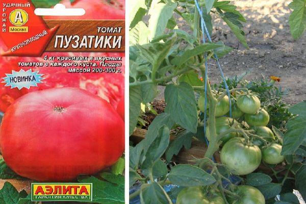 Description de la tomate Puzatiki, avantages et inconvénients de la variété