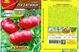 ลักษณะของมะเขือเทศ