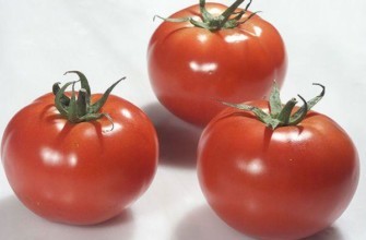 มะเขือเทศสามลูก