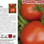 มะเขือเทศลูกผสม