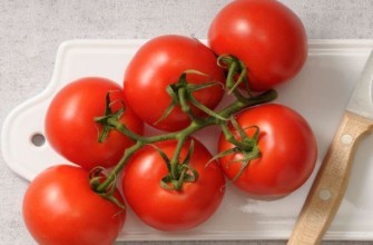 กิ่งพันธุ์มะเขือเทศ