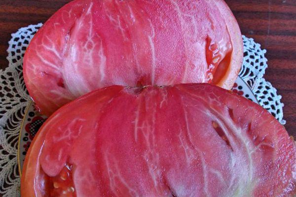 Tomate à gros fruits