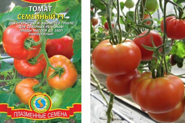 เมล็ดมะเขือเทศ