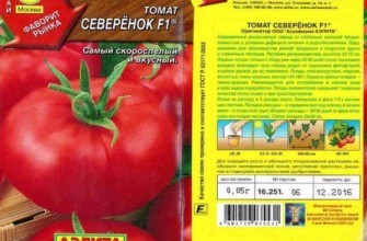 ลักษณะของมะเขือเทศ