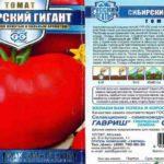 ลักษณะของมะเขือเทศ