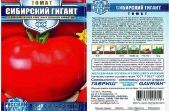 ลักษณะของมะเขือเทศ