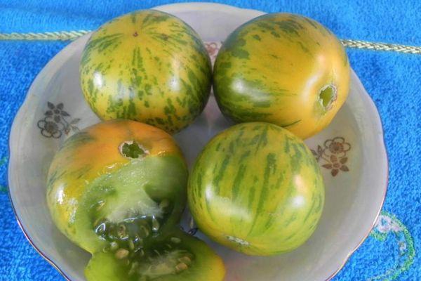 มะเขือเทศบนจาน