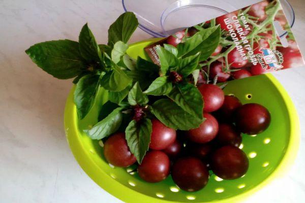 พวงช็อคโกแลต