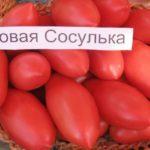 น้ำแข็งย้อยสีชมพู