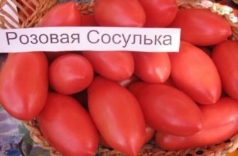 น้ำแข็งย้อยสีชมพู