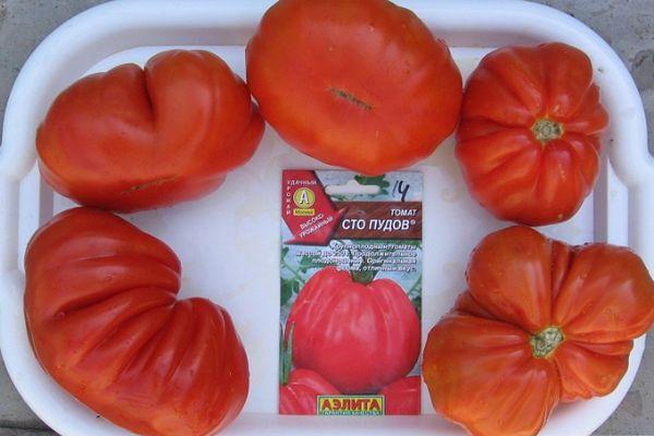 Graines et tomates