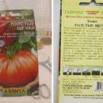 ลักษณะของมะเขือเทศ